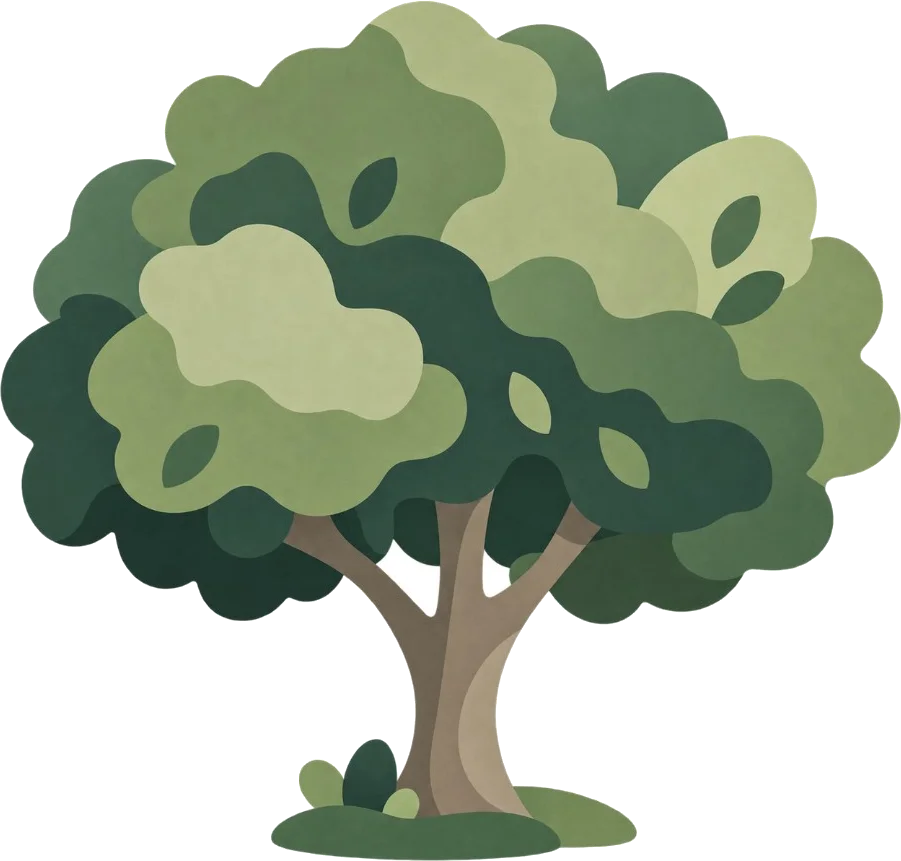an illustrated tree with a broad, layered green canopy